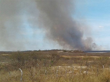 Incêndio de grandes proporções atinge zona rural de Assunção do Piauí