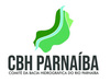 Seminário Regional sobre CBH Parnaíba chega a Castelo do Piauí