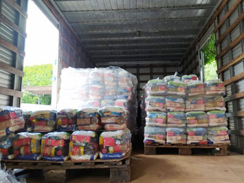 Equatorial doa 10 toneladas de alimentos para projeto de apoio a artistas 