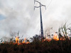 Número de ocorrências provocadas por queimadas já deixou milhares de famílias sem energia elétrica