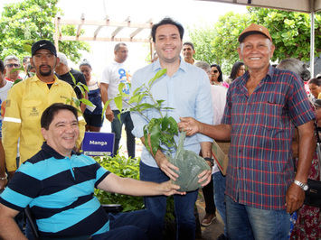 Prefeitura de São Miguel do Tapuio distribui 15 mil mudas de plantas frutíferas 