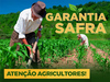 Governo federal autoriza pagamento do Garantia Safra para 72 municípios do Piauí