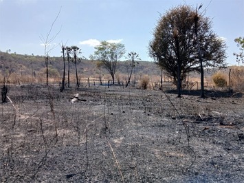 Município sofre com focos de incêndio e prefeito decreta proibição de queimadas