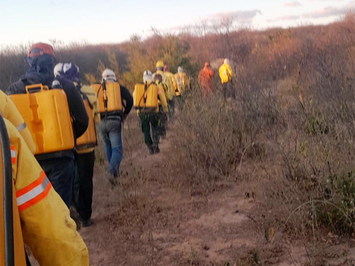 Brigada Municipal de São Miguel do Tapuio tem trabalhado no combate a incêndios