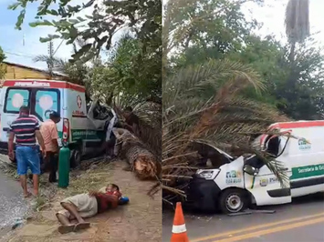 Palmeira desaba em cima de ambulância com paciente na cidade de Campo Maior